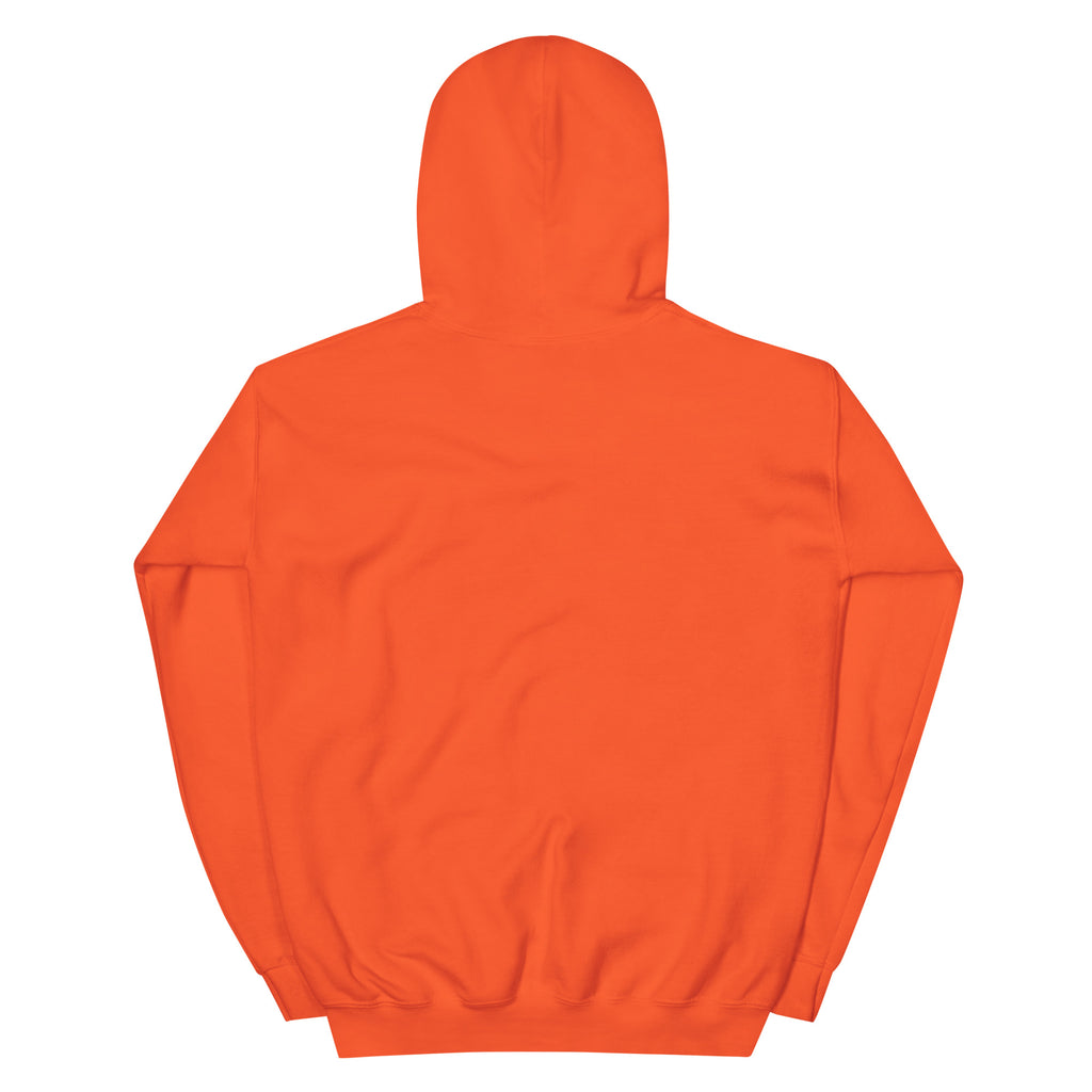 Back view of unisex orange hoodie for Koningsdag hoodie Nederland, perfect for festive celebrations.