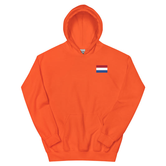 Back view of unisex orange hoodie for Koningsdag hoodie Nederland, perfect for festive celebrations.